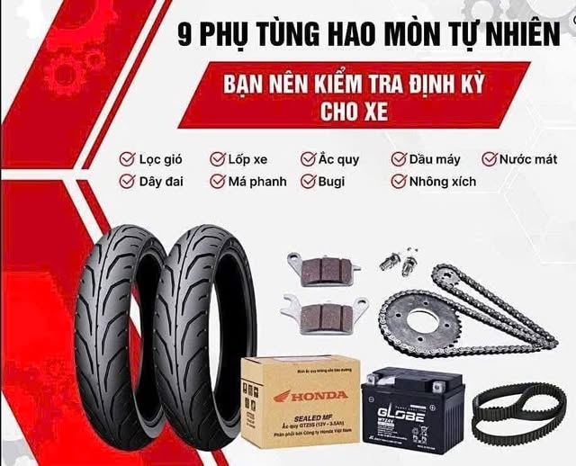 627697252 122176809686394873 1301931163018795324 n